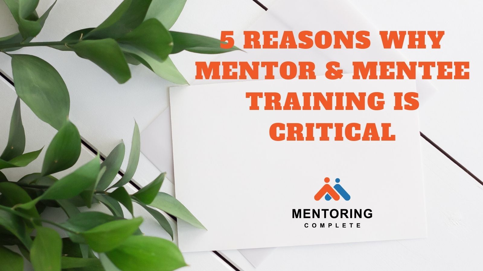 5 reasons why mentor and mentee training is critical