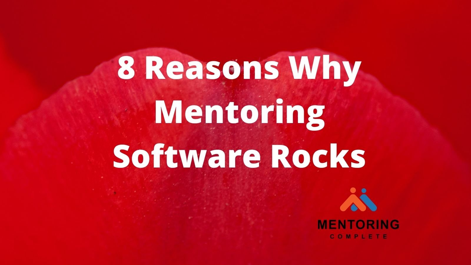 Why mentoring software rocks