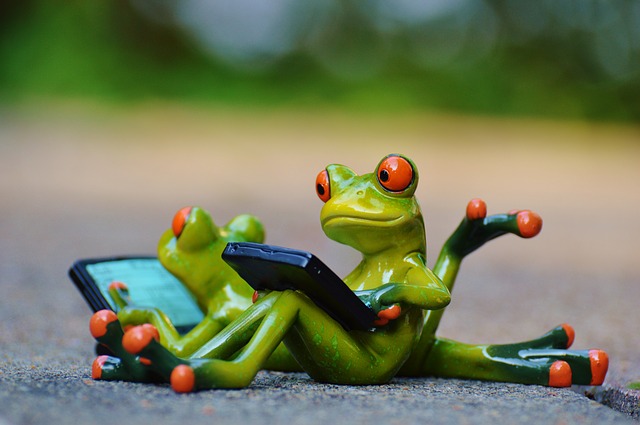 Mentoring resources for mentoring training