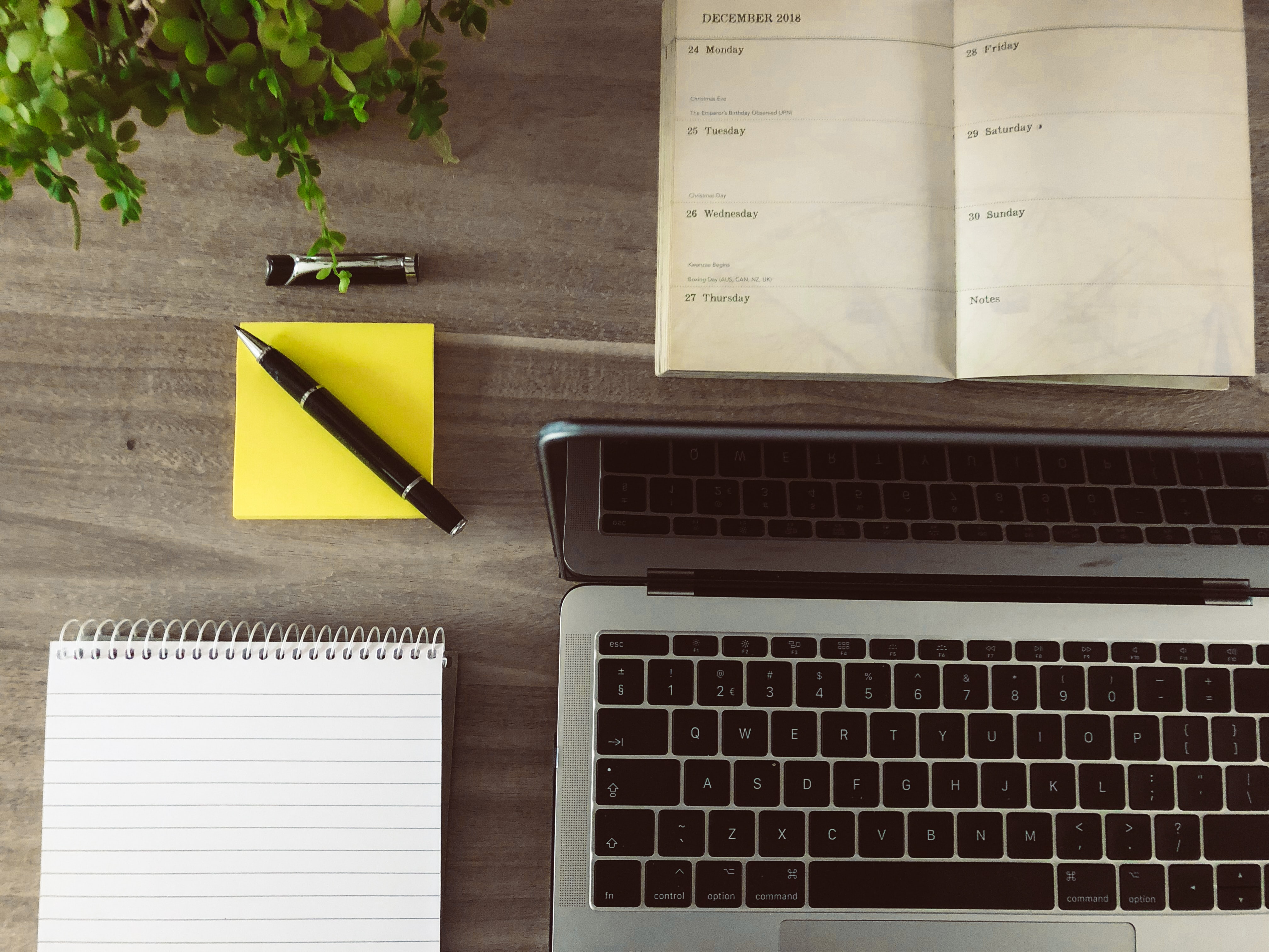 Tips for managing online mentoring program